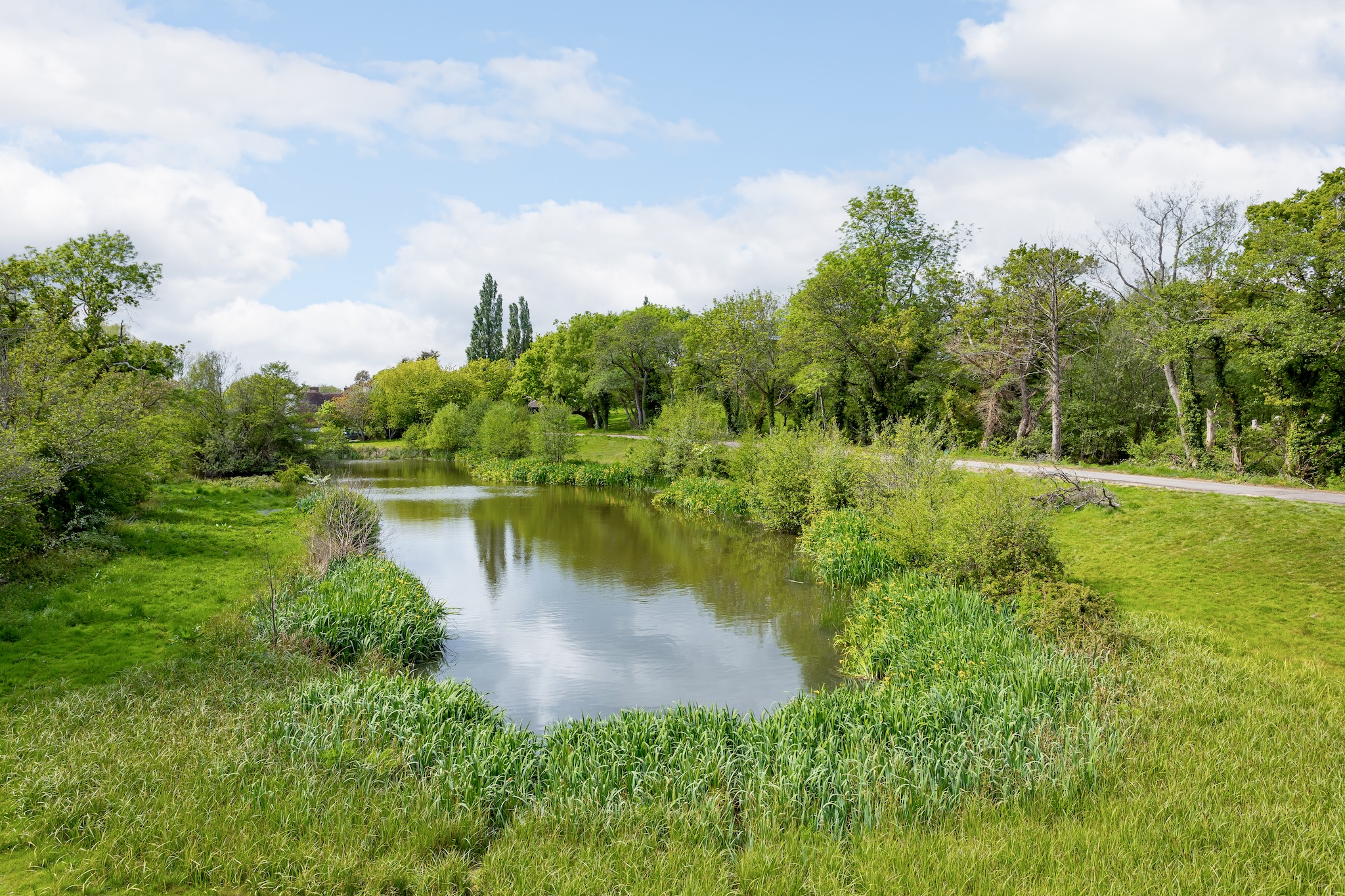Reed-fringed pond reflecting the open sky on the cottage grounds